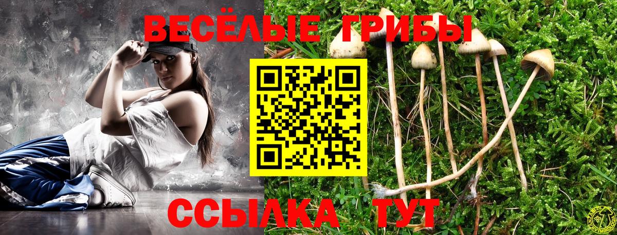 Галлюциногенные грибы прущие грибы Шатура